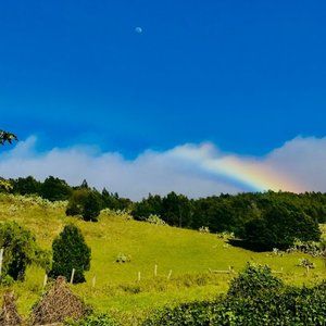 Meet your Posher, Studio_City!